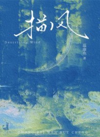 描风