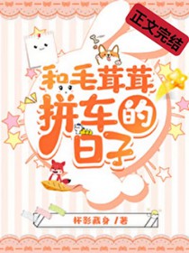 和毛茸茸拼车的日子
